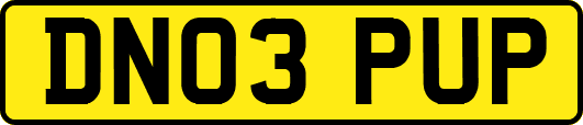 DN03PUP