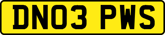 DN03PWS