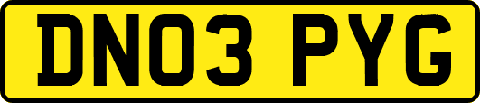 DN03PYG