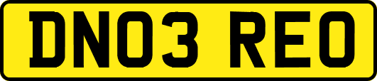 DN03REO