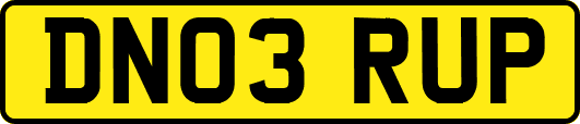 DN03RUP