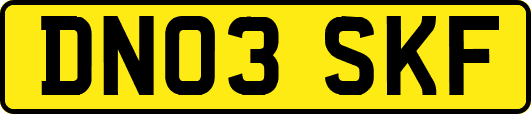 DN03SKF
