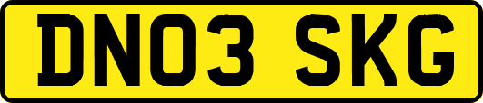 DN03SKG
