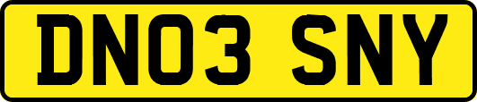 DN03SNY