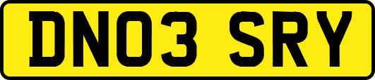 DN03SRY