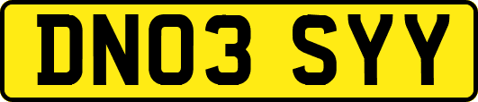 DN03SYY