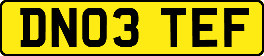 DN03TEF