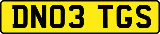 DN03TGS