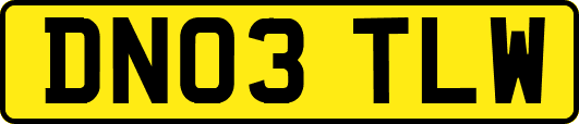 DN03TLW