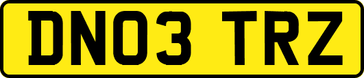 DN03TRZ