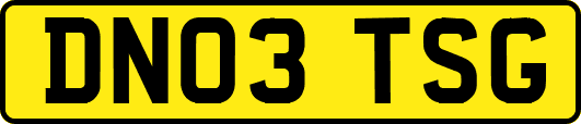 DN03TSG