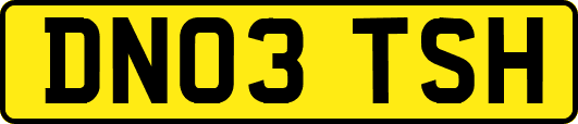 DN03TSH