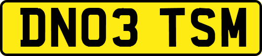 DN03TSM