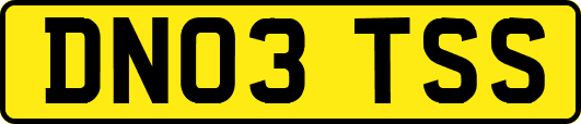 DN03TSS