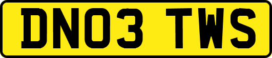 DN03TWS