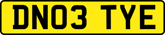 DN03TYE
