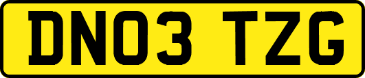 DN03TZG