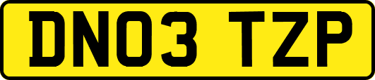 DN03TZP