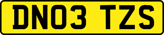 DN03TZS