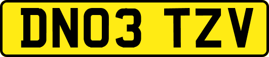 DN03TZV