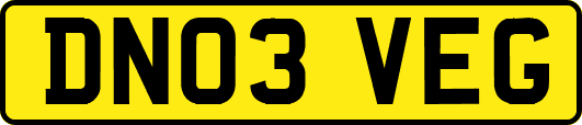 DN03VEG