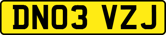 DN03VZJ