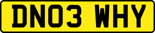DN03WHY