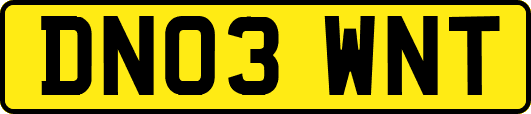 DN03WNT
