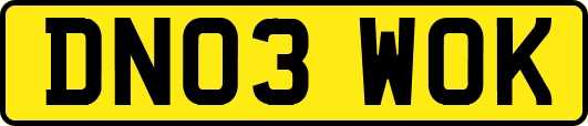 DN03WOK