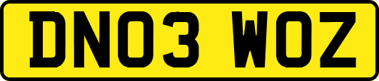 DN03WOZ