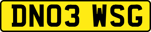 DN03WSG