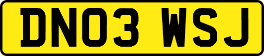 DN03WSJ