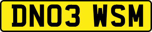 DN03WSM