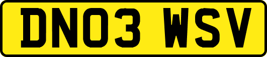 DN03WSV