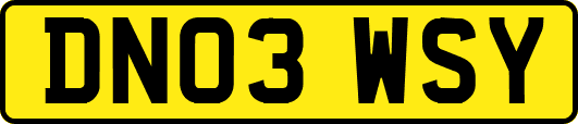 DN03WSY