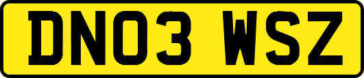 DN03WSZ