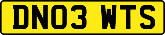 DN03WTS