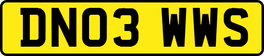 DN03WWS