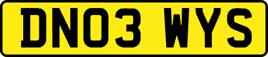 DN03WYS
