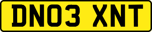 DN03XNT
