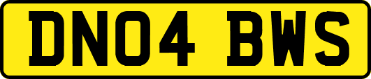 DN04BWS