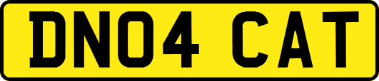DN04CAT