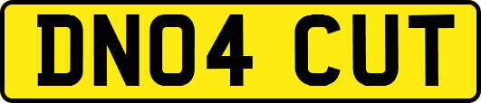 DN04CUT