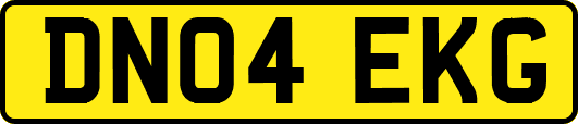 DN04EKG