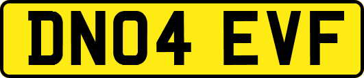 DN04EVF