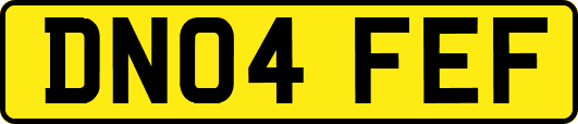 DN04FEF