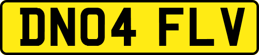 DN04FLV