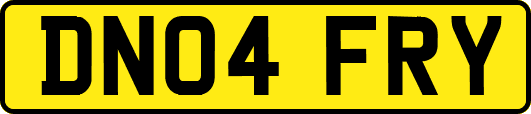 DN04FRY