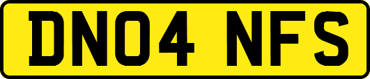 DN04NFS