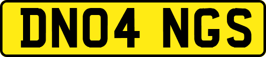 DN04NGS